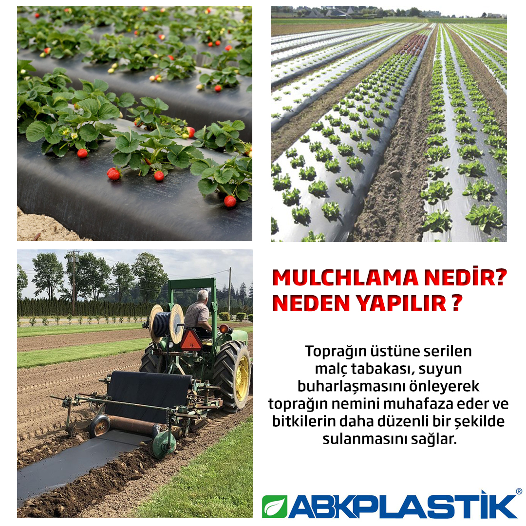 Malçlama Nedir