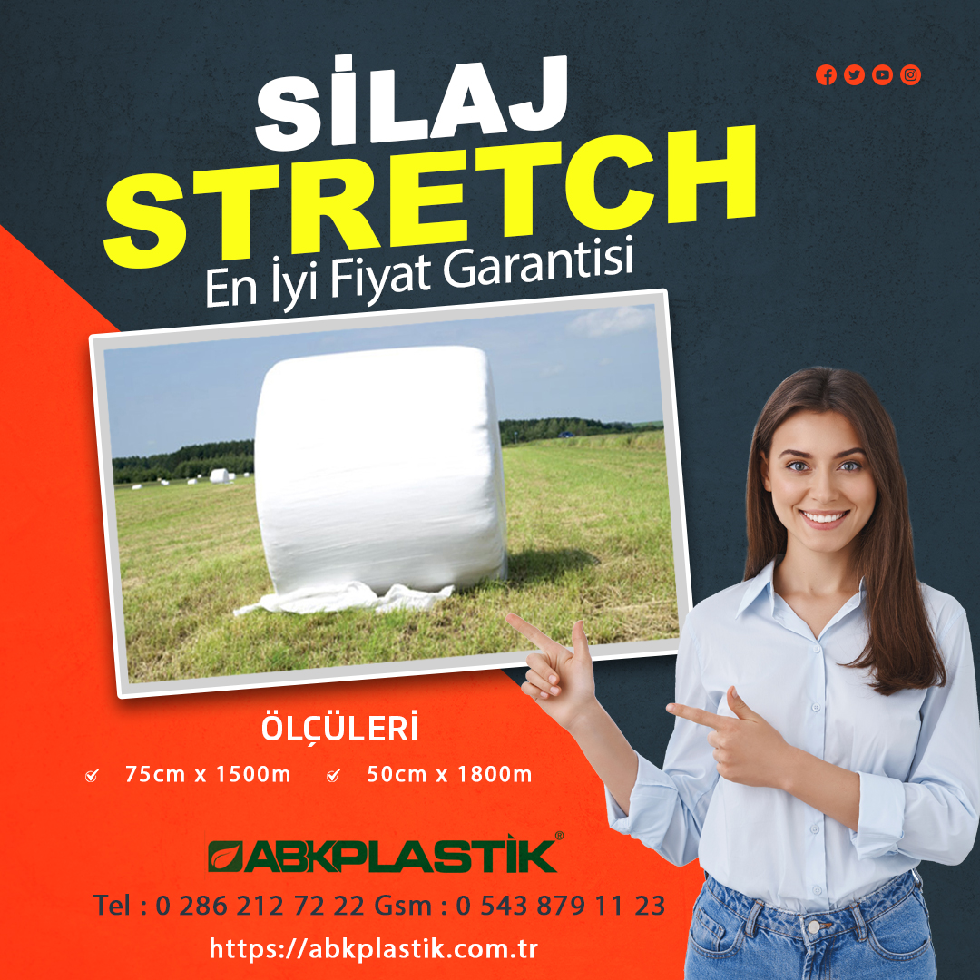 Silaj Strech