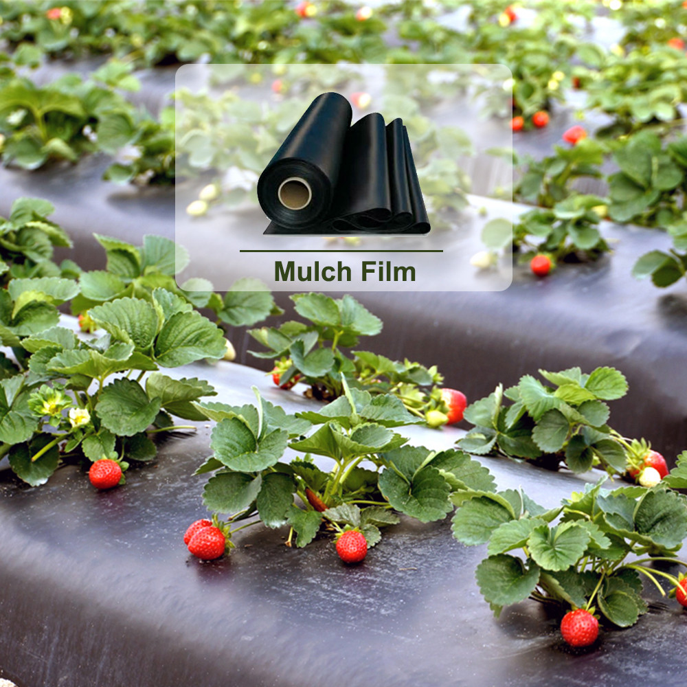 100 Cm 30 Micron LPDE Siyah Mulch